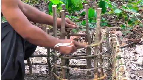 Newborn puppies get the house of their dreams