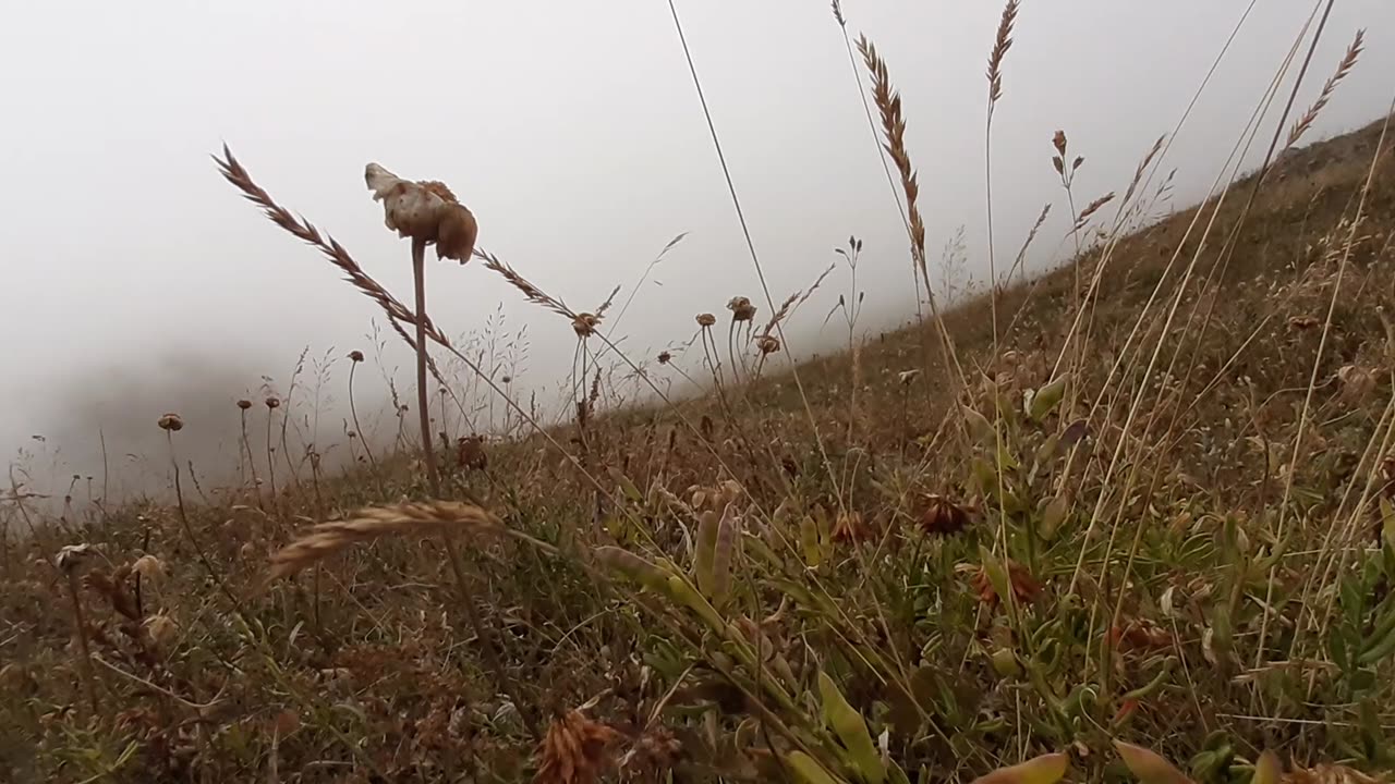 VIEWS FROM THE PLATEAU-68