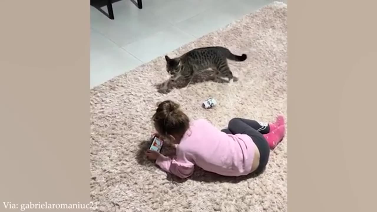 When your cat become a special friend 👶❤️🐱Cute Cats and Human