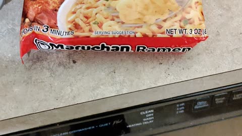 Eating Maruchan Ramen Noodle Beef Flavor, Dbn, MI, 8/27/24