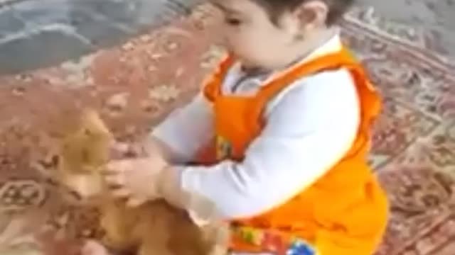 The little girl is playing with a very lovely little kitten