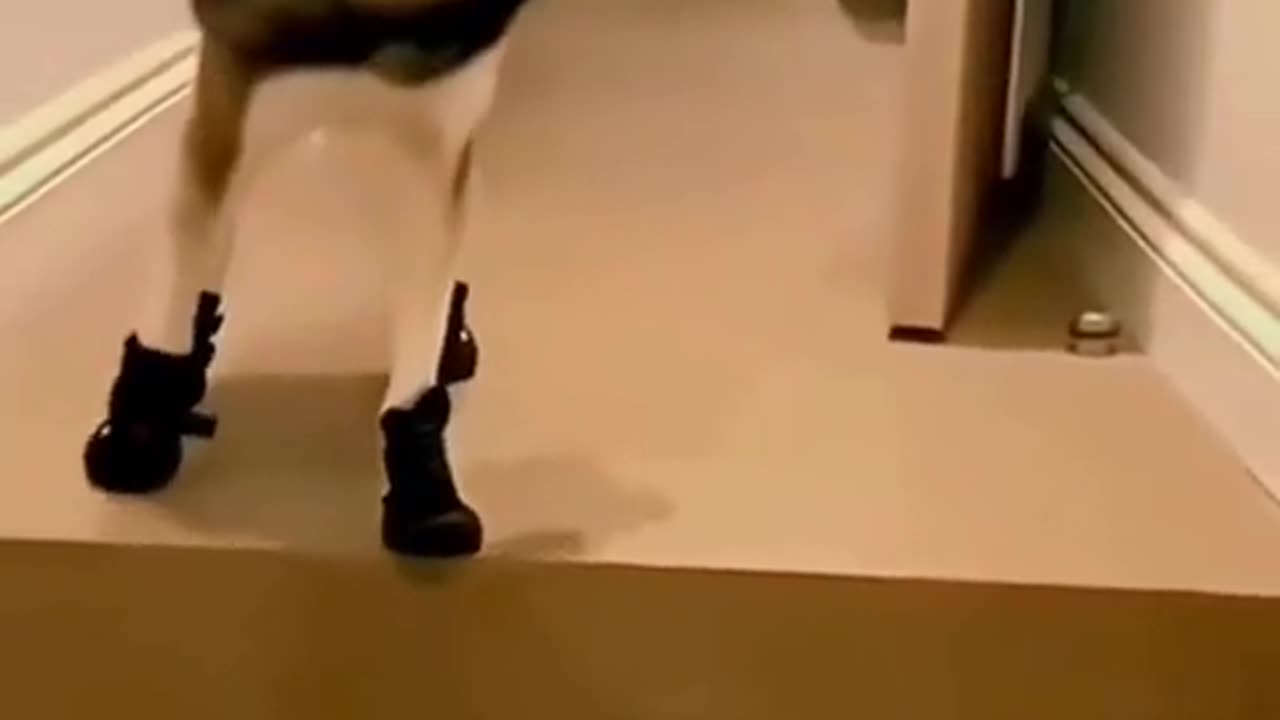 "The Ultimate Pancake Flop: When Breakfast Goes Wrong"