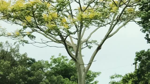 Na estrada, Rio Grande do Sul.