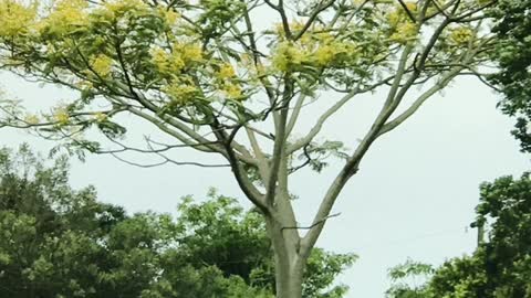 Na estrada, Rio Grande do Sul.