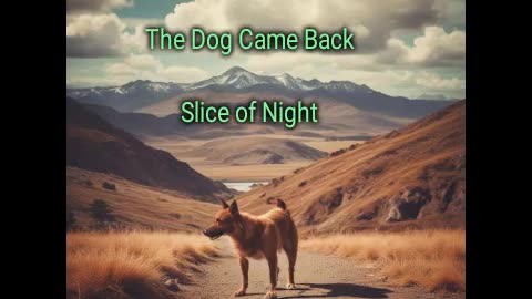 Slice of Night- The Dog Came Back