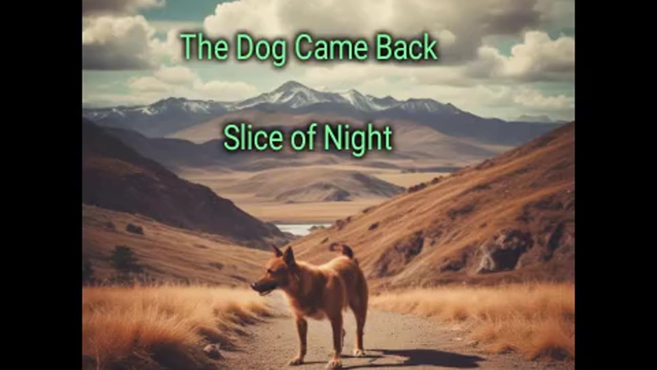 Slice of Night- The Dog Came Back