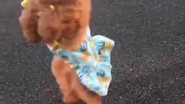 Am I a good dancer