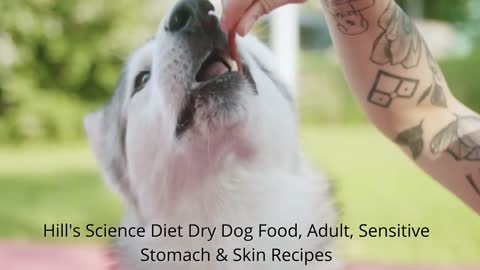 DOG EATING WITH HUMAN HANDS