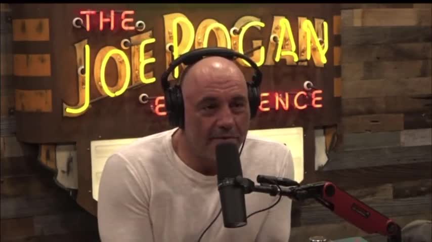 Joe Rogan BASHES Big Tech For Trying To Influence The Election