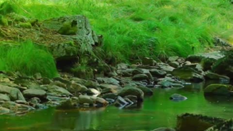 Soft Relaxing Music for Stress Relief - Meditation Music, Sleep Music, Soothing Music, Ambient Music