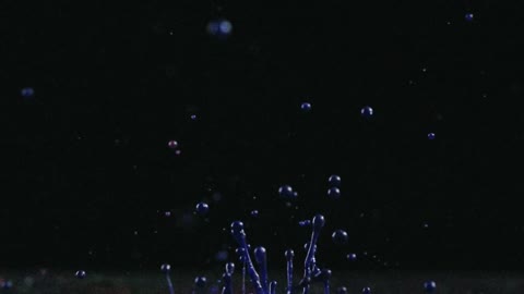 Splatters Of Colored Liquid