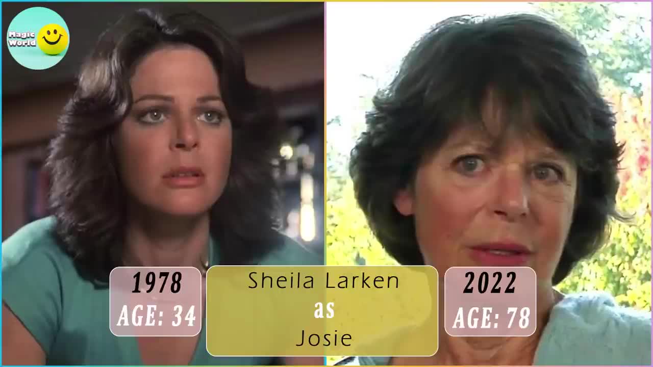 THE INCREDIBLE HULK 1977 Cast Then and Now 2022 How They Changed