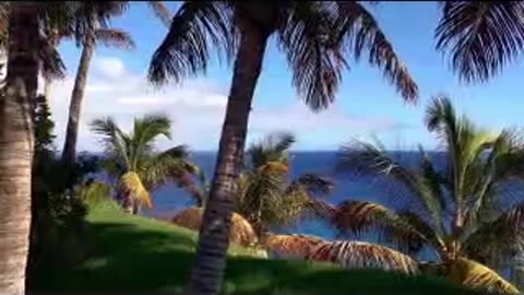 rhep 71-100.mp4