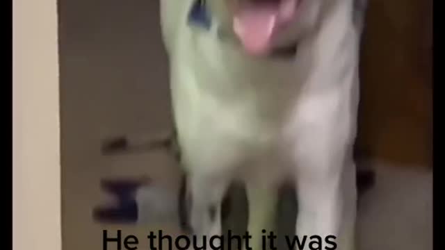He thought it was incredible