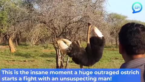 Scariest Animal
