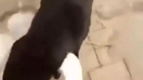 Expect this in russia