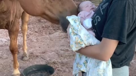 hose video