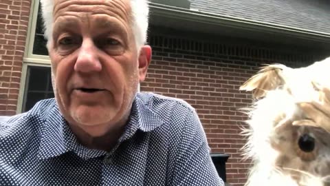 June 18, 2020 - How Henrietta The Stuffed Hoot (Hootch) Owl Entered My Life