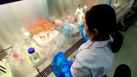 Chinese scientists may have key to delaying ageing
