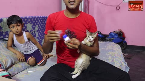 Cat worms |4s loser | 444 | my allah bless you