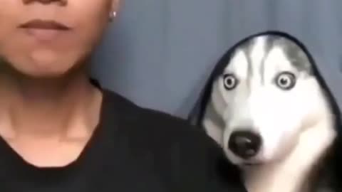 Existential Crisis but Still Cute AF