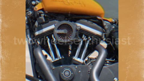 Custom 229