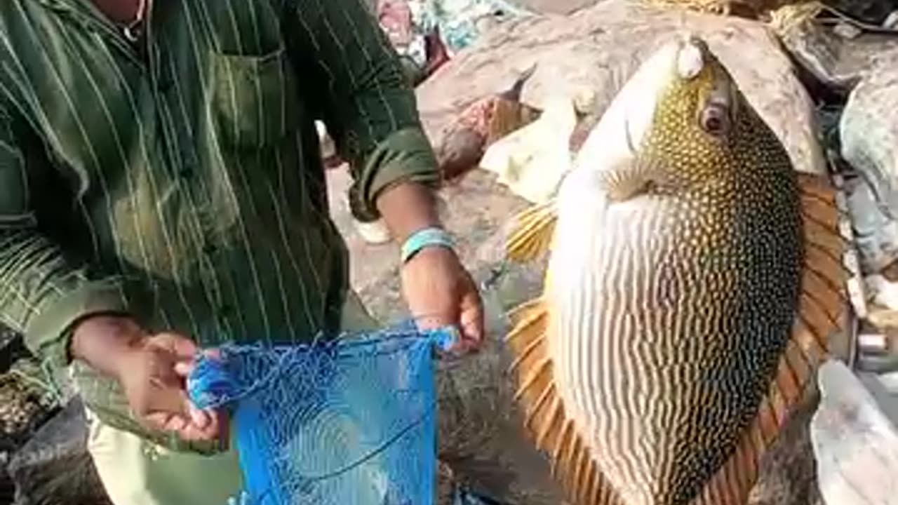 The man have amazing fishing skills 🔥
