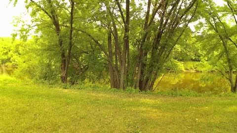 Princeton, MN--American Heartland
