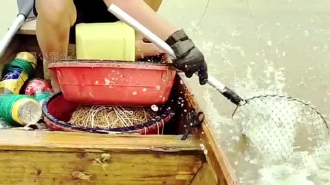 fish cuting fish cutting board live fish cutting big fish cutting salmon fish cutting