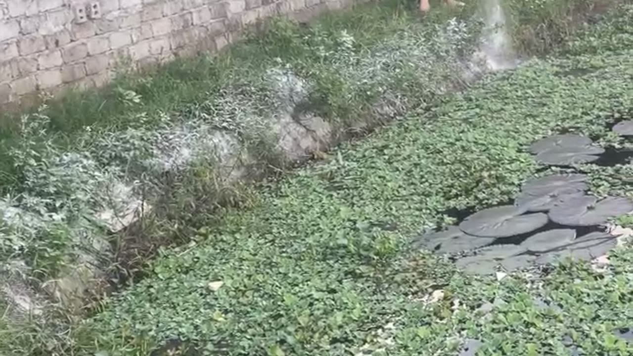 Nuôi trồng thủy sản
