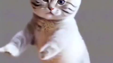 Funny dance of AI cats