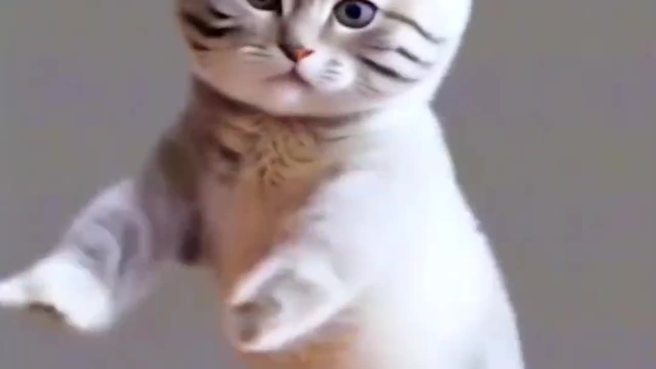Funny dance of AI cats