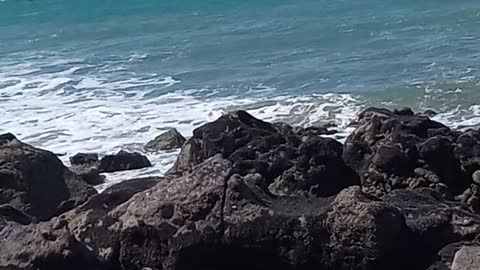 Paradise