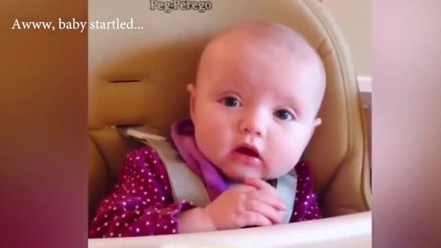 Dogs are the best friend of Babies 47