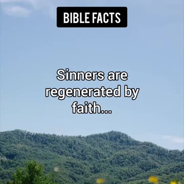 Power of the Word | P5 | The Surprising Insights About Scripture Revealed!