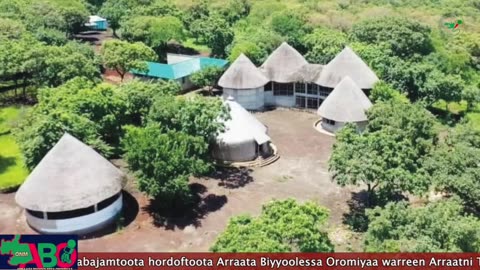 Oduu Ganama ONM-ABO Onkololessa 17-2024 itti dhiyaadhaa!