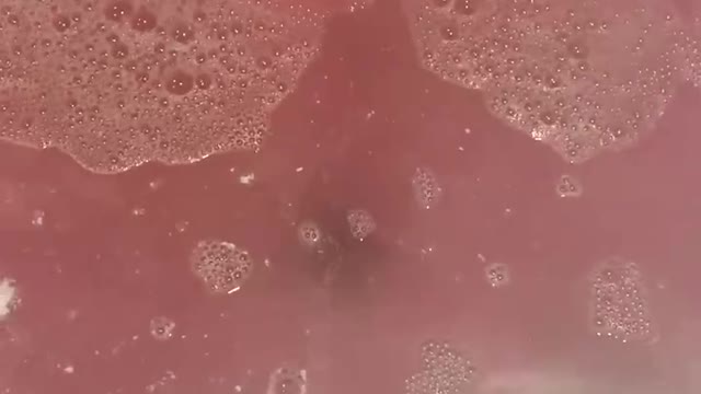 Lush bath bomb