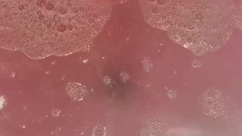 Lush bath bomb