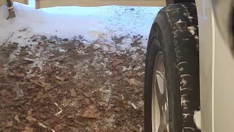Sound of a bad alternator and water pump.