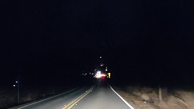 Christmas Reindeer 2020 lights