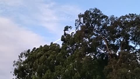 Chemtrails in Brisbane