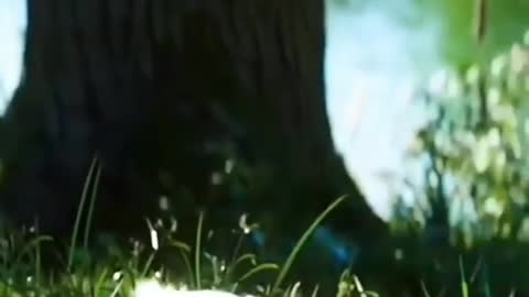 Cute bird baby