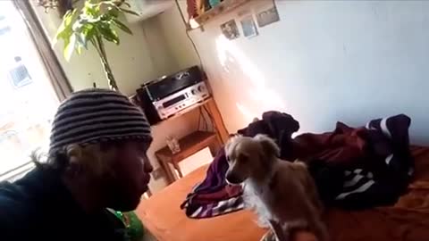 Funny animals 2022