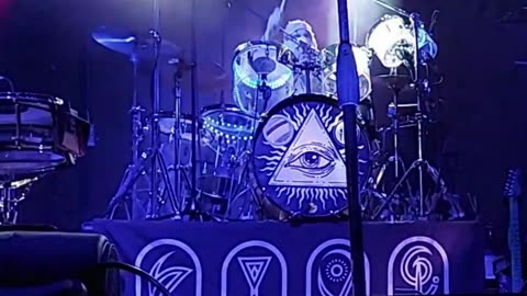 Eddie Mummy (Here Come The Mummies) - LIVE @ Avondale (Short)