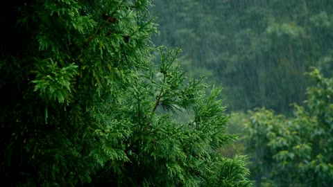 Rainstorm Sounds for Relaxing, Focus or Deep Sleep