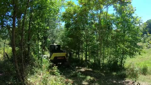 Forestry Mulcher Mowing Pasture