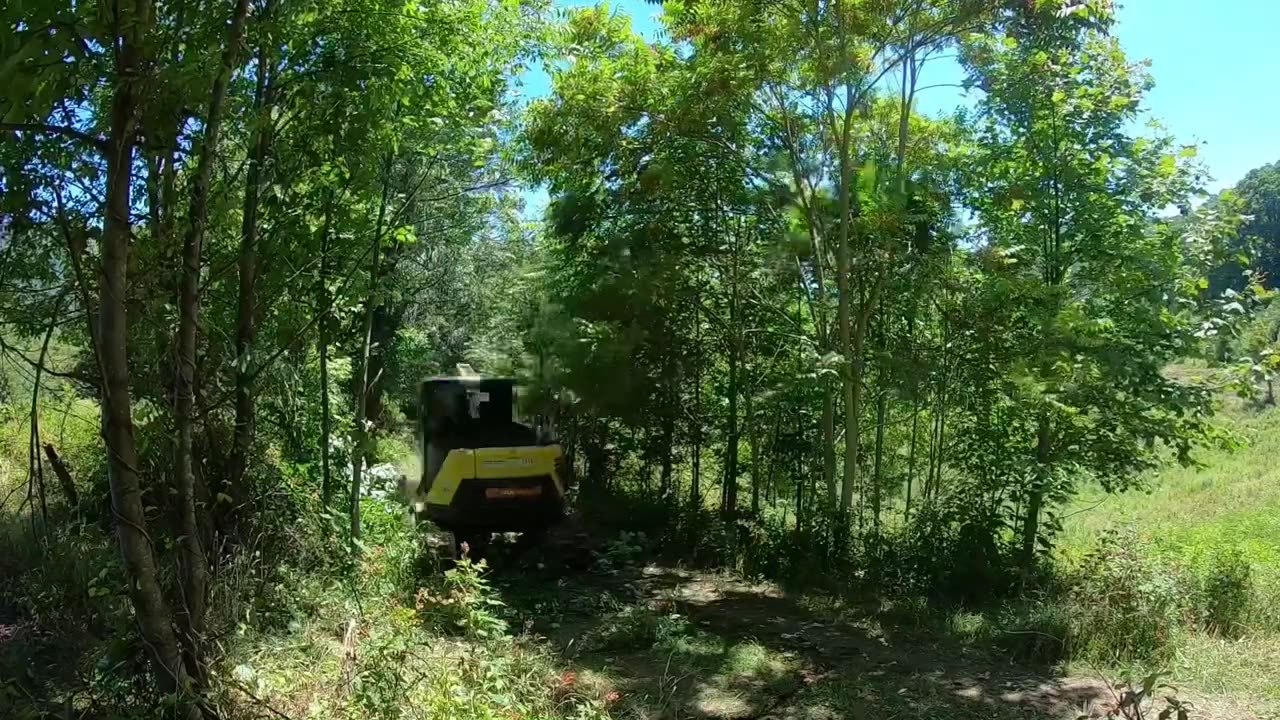 Forestry Mulcher Mowing Pasture