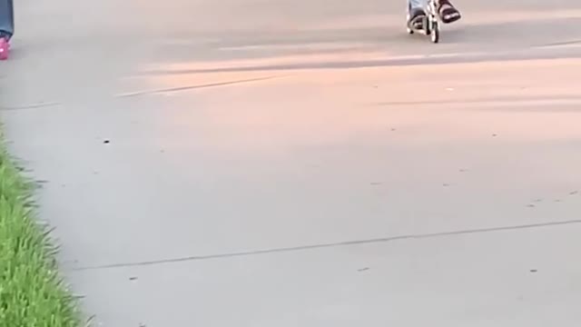 Funniest Videos | This Kids Stubbled To Ground