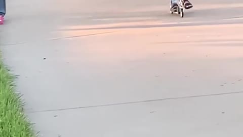 Funniest Videos | This Kids Stubbled To Ground