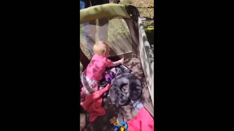 what animal eat this baby?